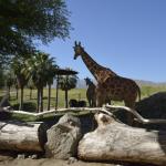 FITS_125 (May 04, 2019)